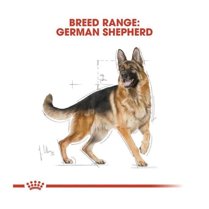 Royal Canin German Shepherd Adult Dog Food Dry