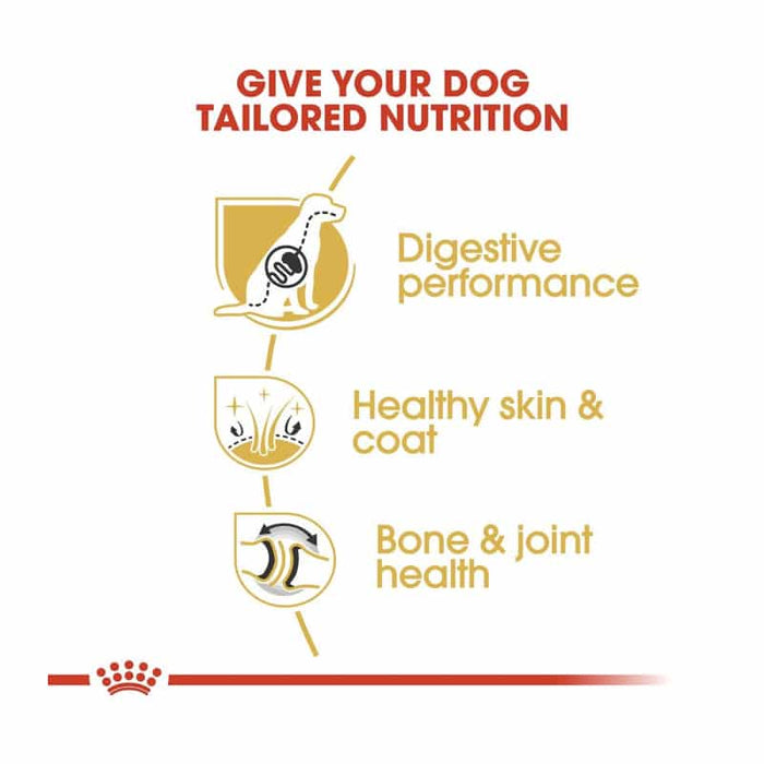 Royal Canin German Shepherd Adult Dog Food Dry