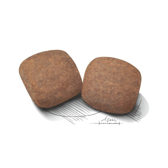 Royal Canin Giant Adult Dog Food Dry