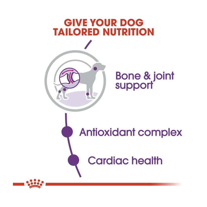 Royal Canin Giant Adult Dog Food Dry