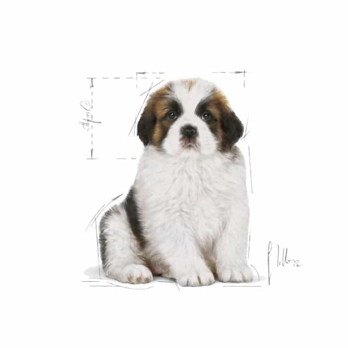 Royal Canin Giant Puppy Food Dry