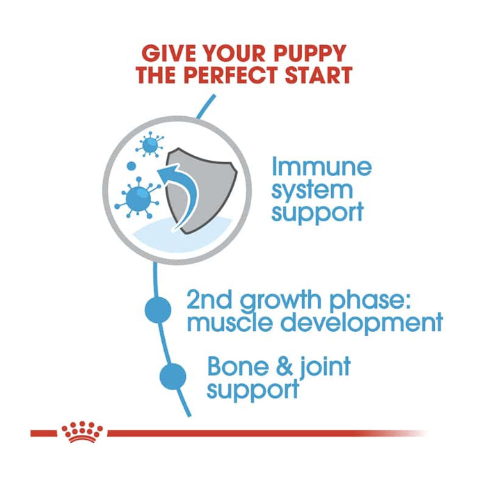 Royal Canin Giant Junior Dog Food Dry