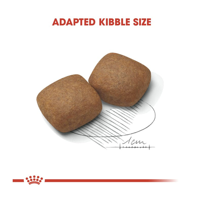 Royal Canin Giant Junior Dog Food Dry