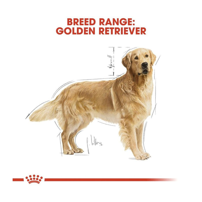 Royal Canin Golden Retriever Adult Dog Food Dry