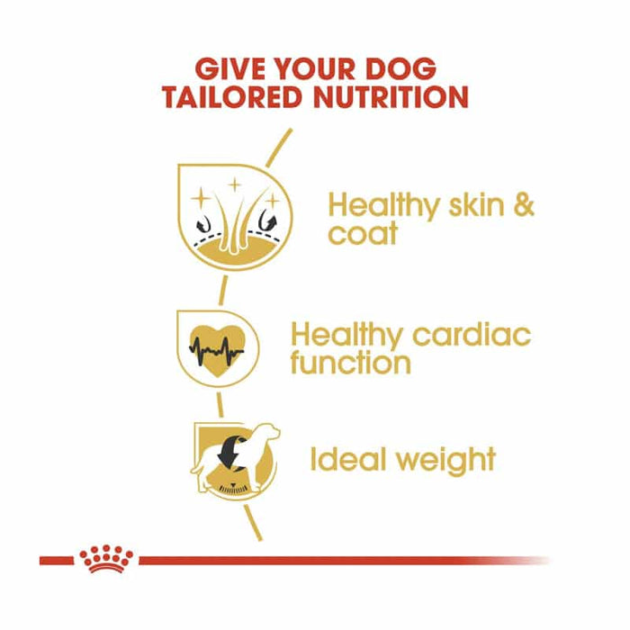 Royal Canin Golden Retriever Adult Dog Food Dry