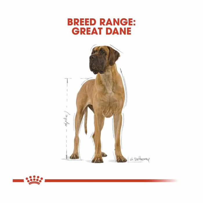 Royal Canin Great Dane Adult Dog Food Dry