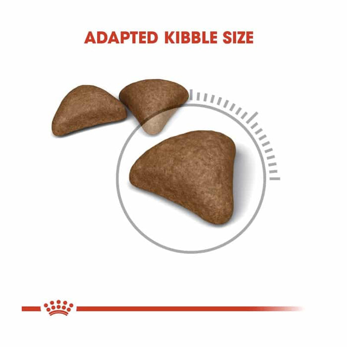 ROYAL CANIN Hairball Care Adult Dry Cat Food