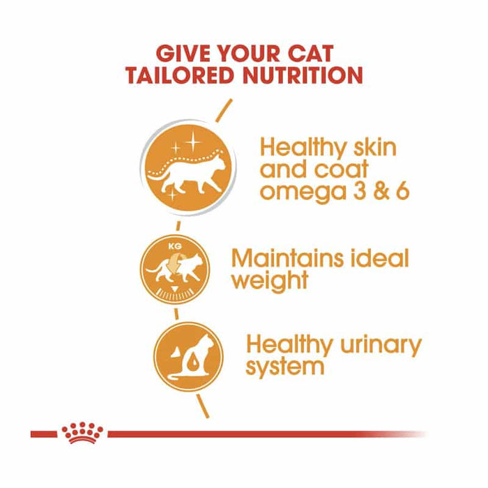 Royal Canin Intense Beauty Gravy Adult Wet Cat Food Pouch (12 x 85g)