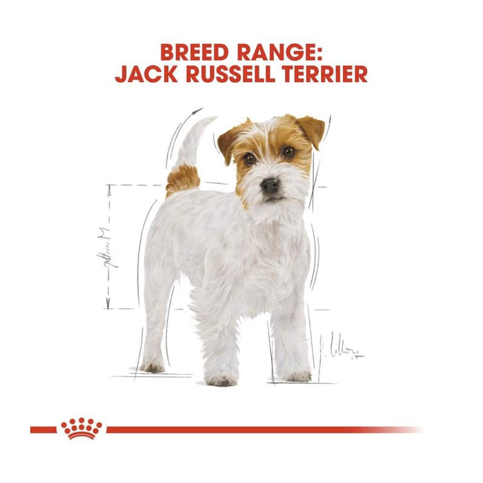 Royal Canin Jack Russell Adult Dog Food Dry