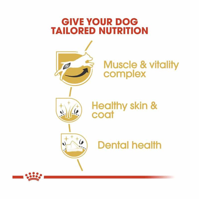 Royal Canin Jack Russell Adult Dog Food Dry