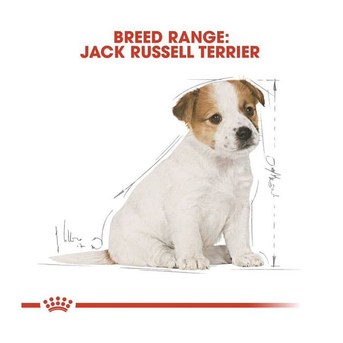 Royal Canin Jack Russell Terrier Puppy Food Dry