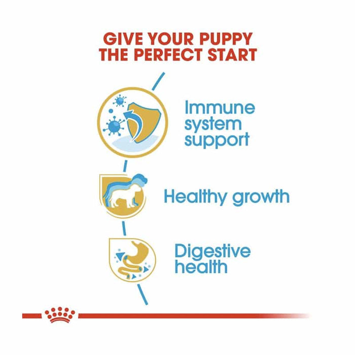 Royal Canin Jack Russell Terrier Puppy Food Dry