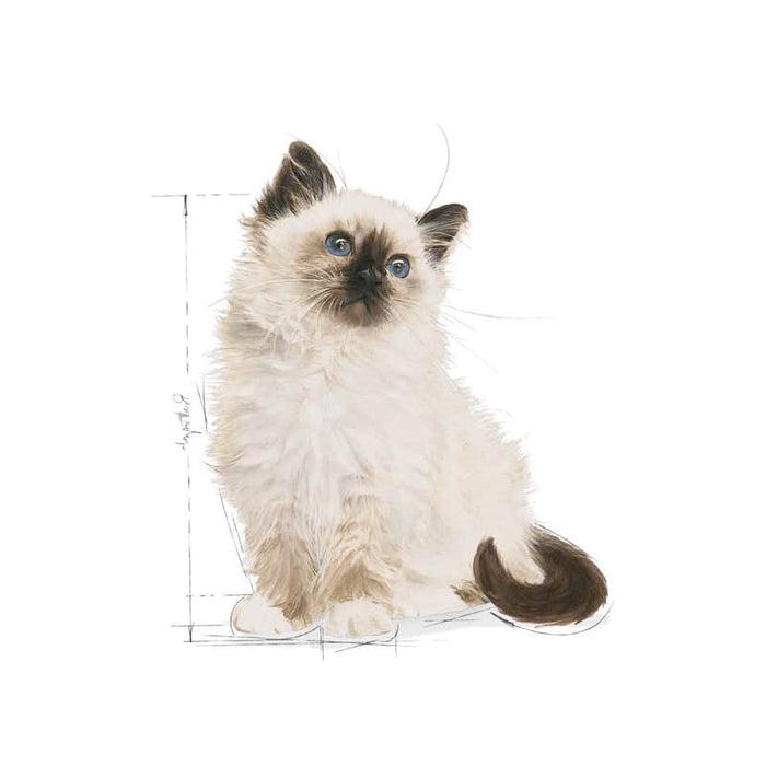 ROYAL CANIN Kitten Instinctive in Gravy Wet Cat Food (12 x 85g)