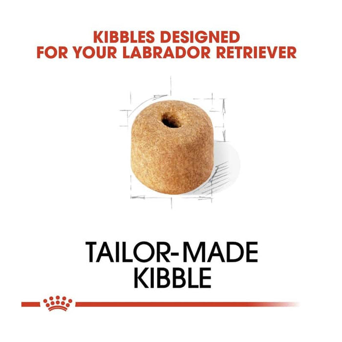 Royal Canin Labrador Retriever Adult Dog Food Dry