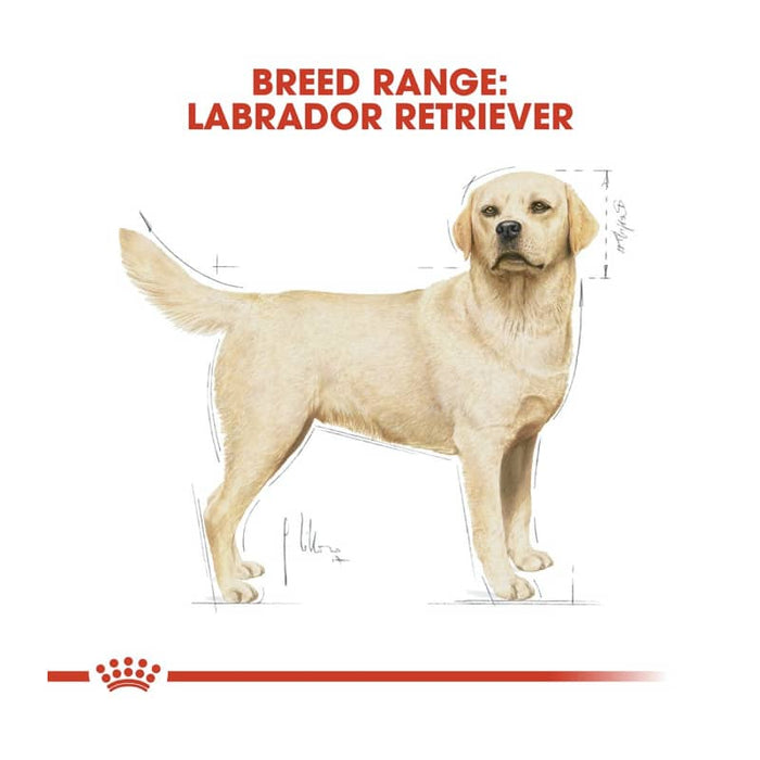 Royal Canin Labrador Retriever Adult Dog Food Dry
