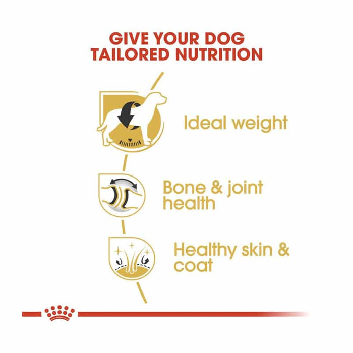 Royal Canin Labrador Retriever Adult Dog Food Dry