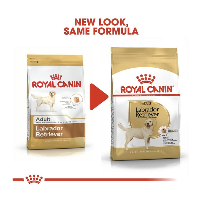 Royal Canin Labrador Retriever Adult Dog Food Dry