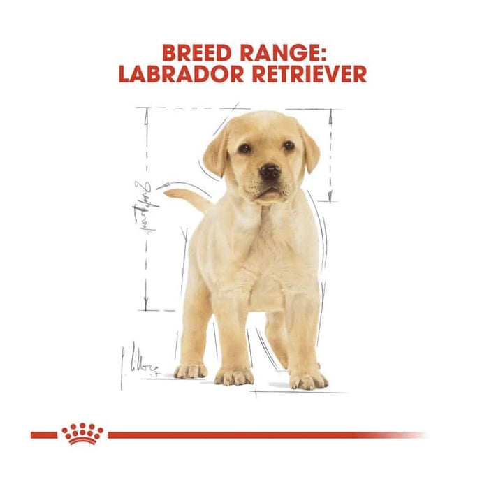 Royal Canin Labrador Retriever Puppy Food Dry