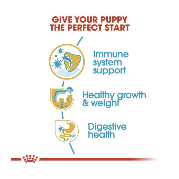 Royal Canin Labrador Retriever Puppy Food Dry