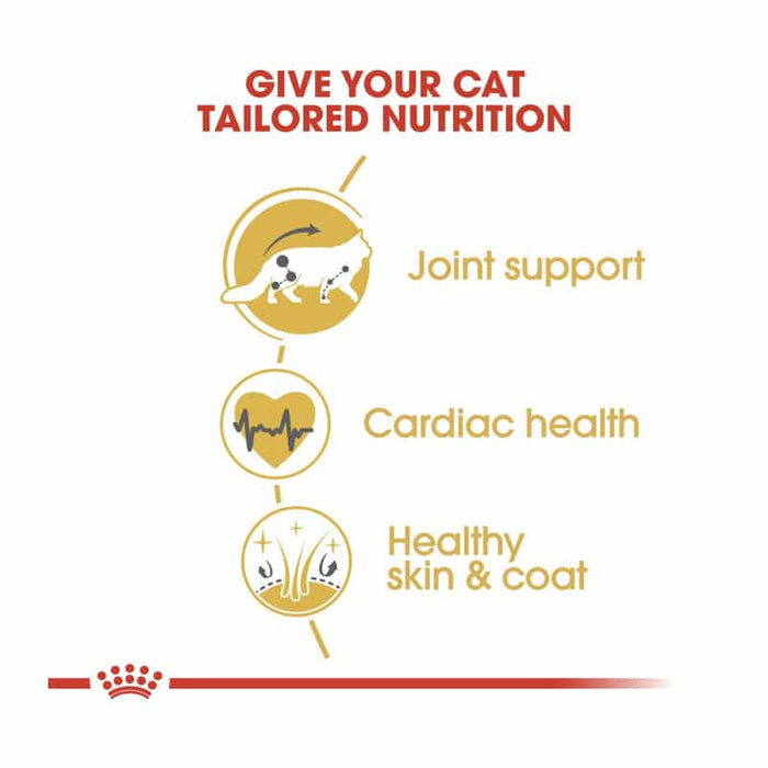 ROYAL CANIN Maine Coon Adult Dry Cat Food