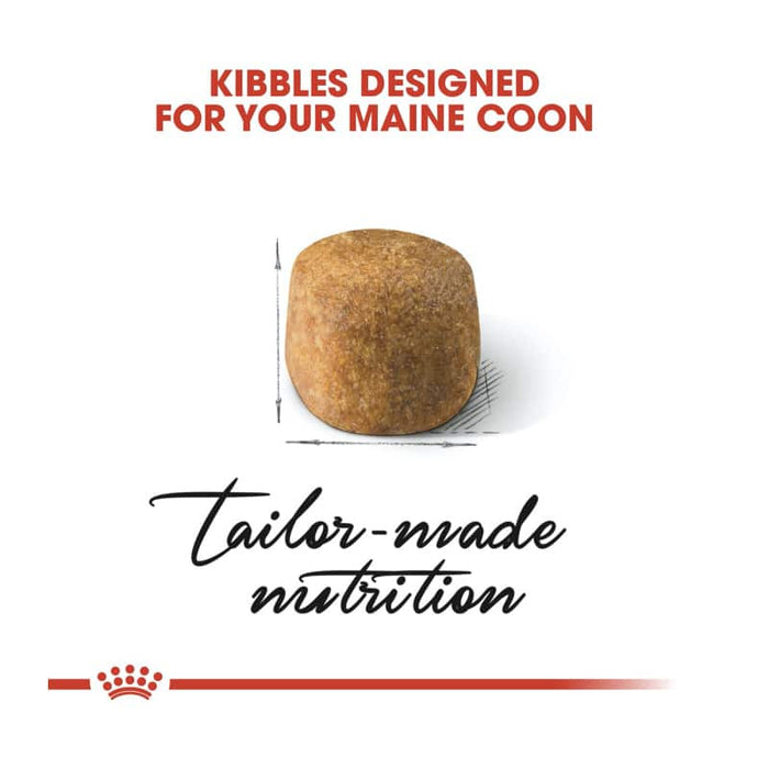 ROYAL CANIN Maine Coon Adult Dry Cat Food