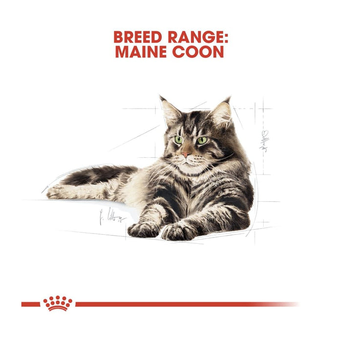 ROYAL CANIN Maine Coon Adult Dry Cat Food