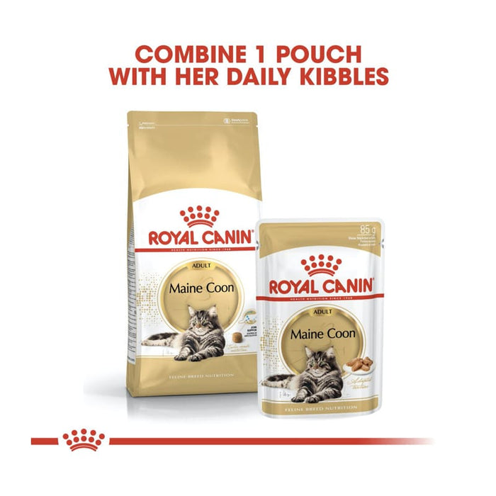 ROYAL CANIN Maine Coon Adult Dry Cat Food