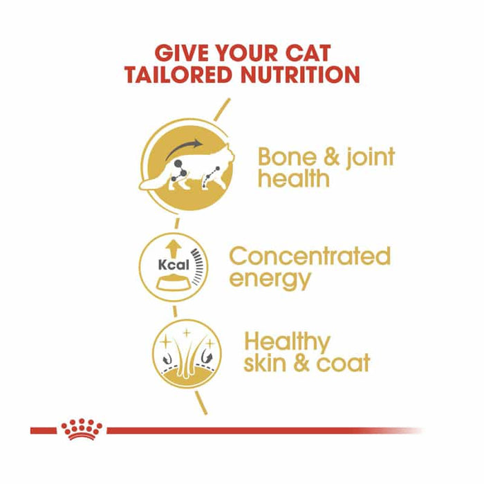 ROYAL CANIN Maine Coon Adult Wet Cat Food (12 x 85g)