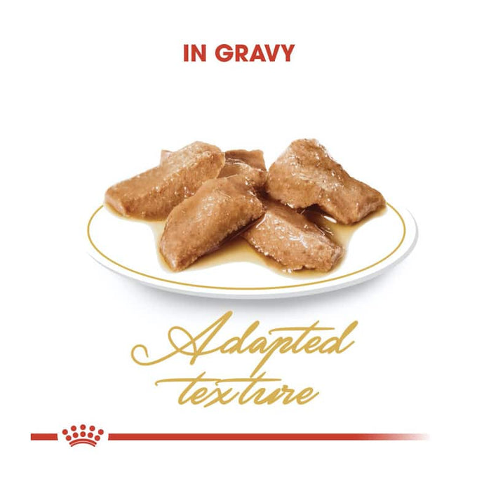 ROYAL CANIN Maine Coon Adult Wet Cat Food (12 x 85g)