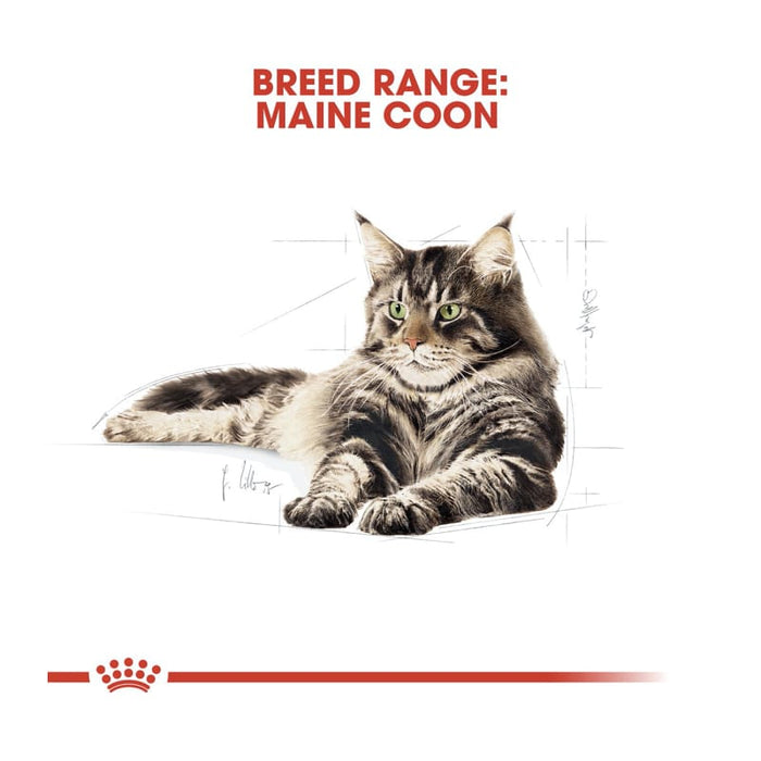 ROYAL CANIN Maine Coon Adult Wet Cat Food (12 x 85g)