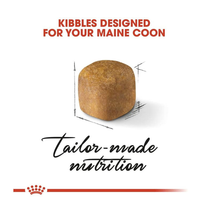 ROYAL CANIN Maine Coon Dry Kitten Food