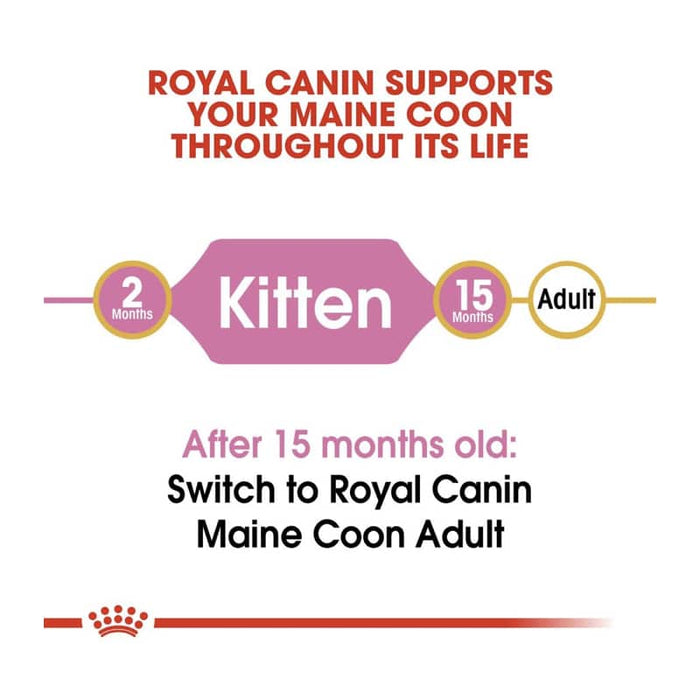 ROYAL CANIN Maine Coon Dry Kitten Food