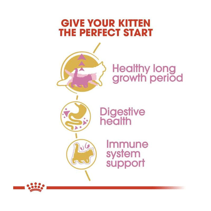ROYAL CANIN Maine Coon Dry Kitten Food