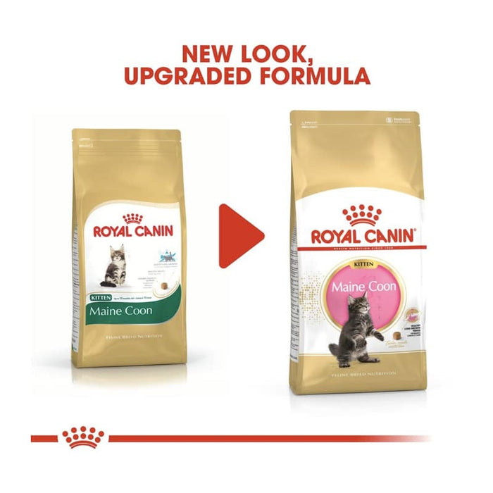 ROYAL CANIN Maine Coon Dry Kitten Food