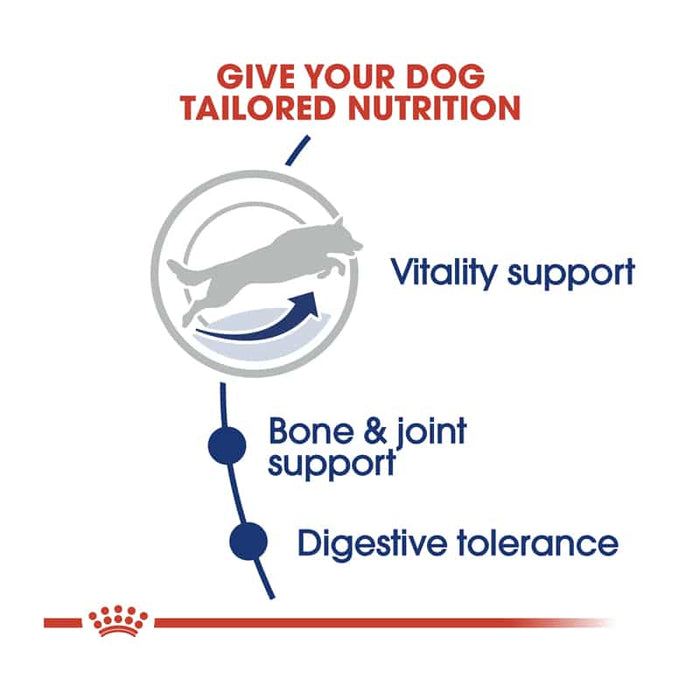 Royal Canin Maxi Adult 5+ Dog Food Dry