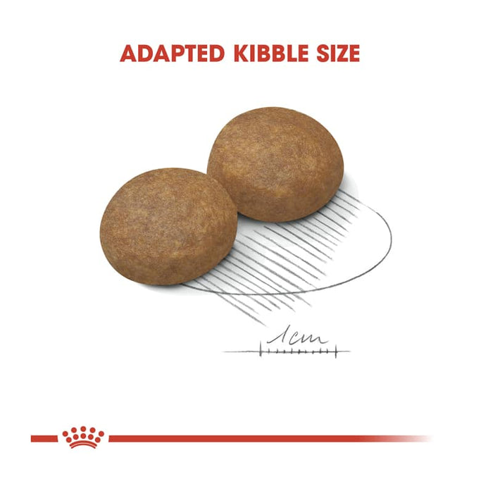 Royal Canin Maxi Adult 5+ Dog Food Dry