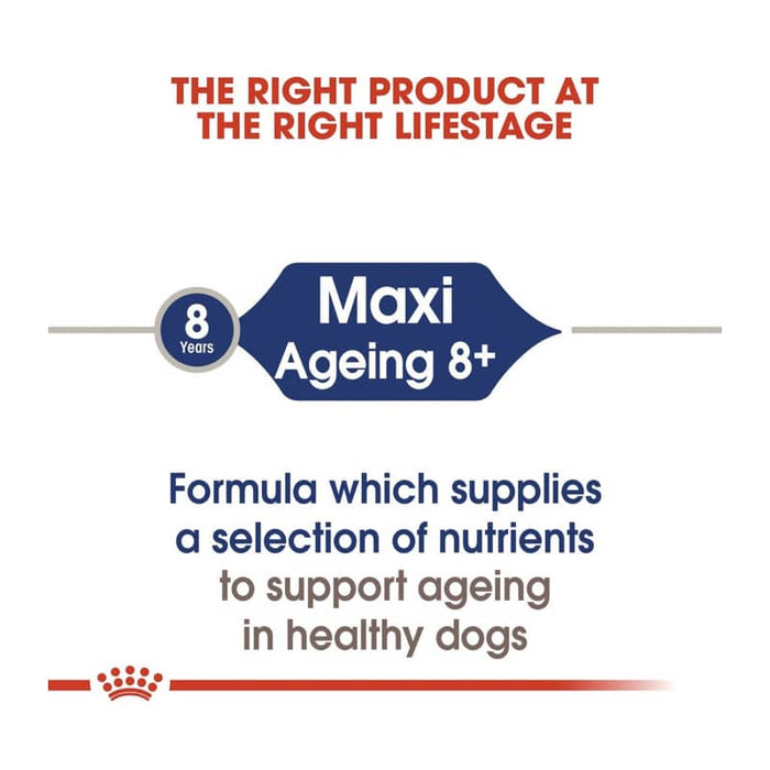 ROYAL CANIN Maxi Ageing 8+ Wet Dog Food (10 x 140g)