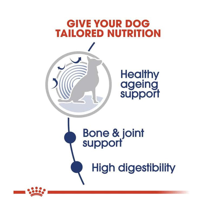 ROYAL CANIN Maxi Ageing 8+ Wet Dog Food (10 x 140g)