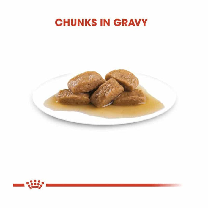 ROYAL CANIN Maxi Adult Wet Dog Food (10 x 140g)