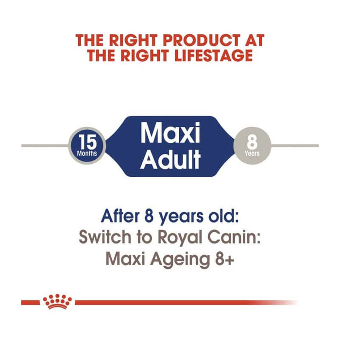ROYAL CANIN Maxi Adult Wet Dog Food (10 x 140g)