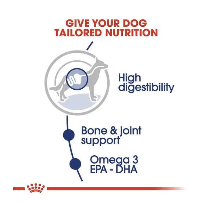 ROYAL CANIN Maxi Adult Wet Dog Food (10 x 140g)