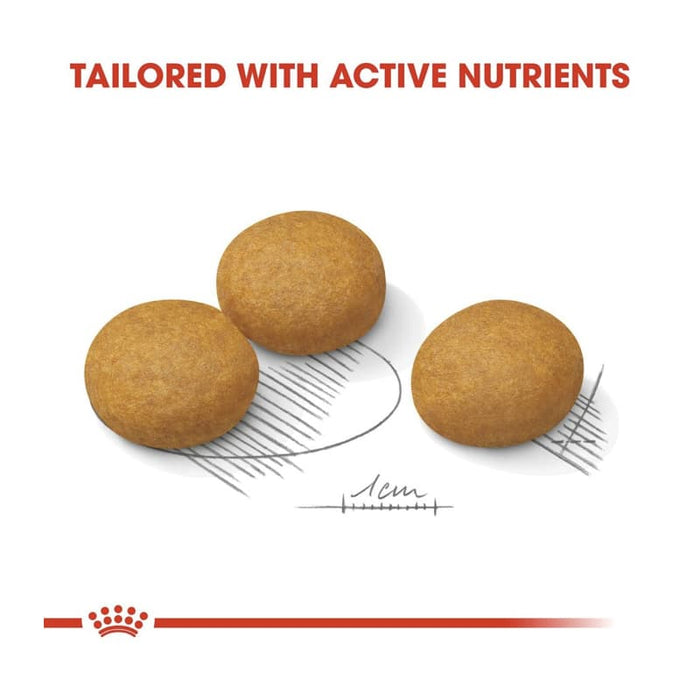 Royal Canin Maxi Dermacomfort Dog Food Dry