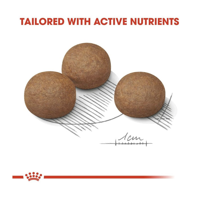 Royal Canin Maxi Digestive Care Dog Food Dry