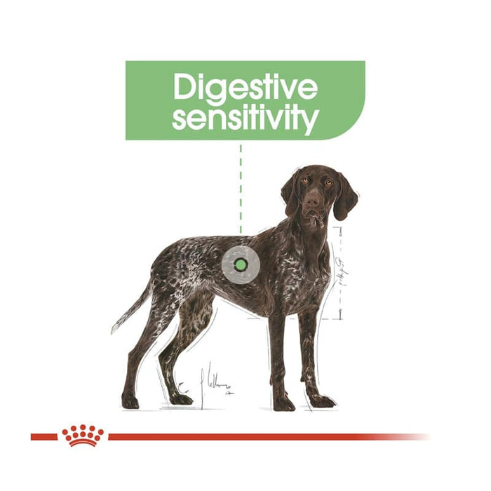 Royal Canin Maxi Digestive Care Dog Food Dry