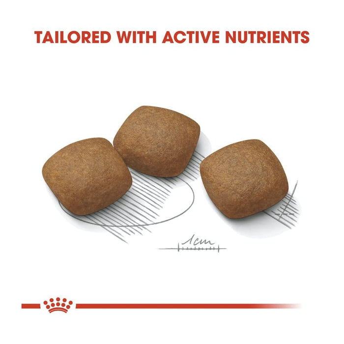 Royal Canin Maxi Joint Care Dog Food Dry