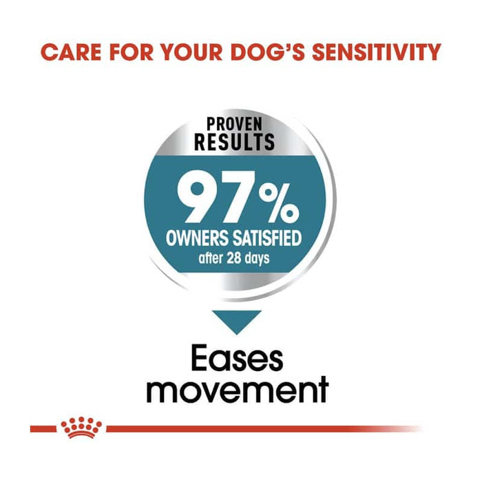 Royal Canin Maxi Joint Care Dog Food Dry