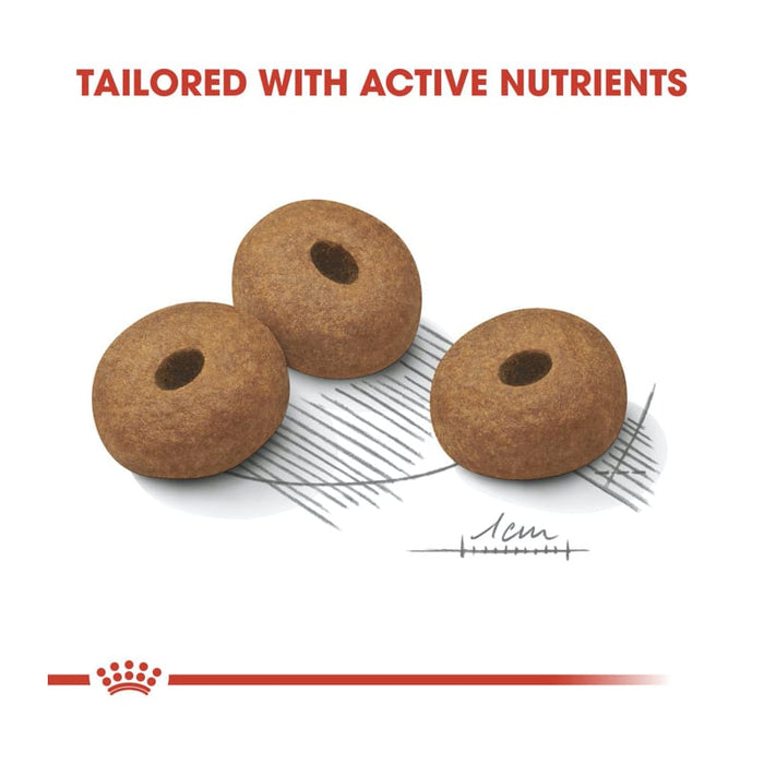 Royal Canin Maxi Light Weight Care Dog Food Dry