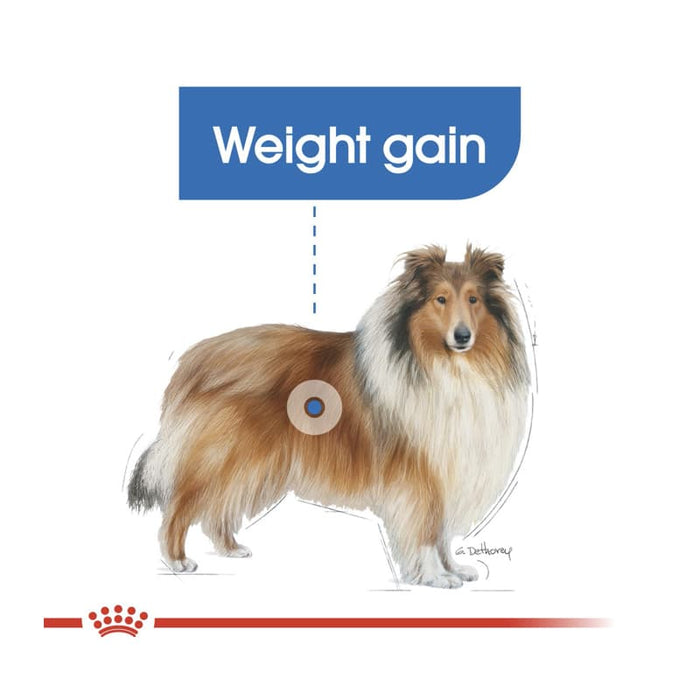 Royal Canin Maxi Light Weight Care Dog Food Dry