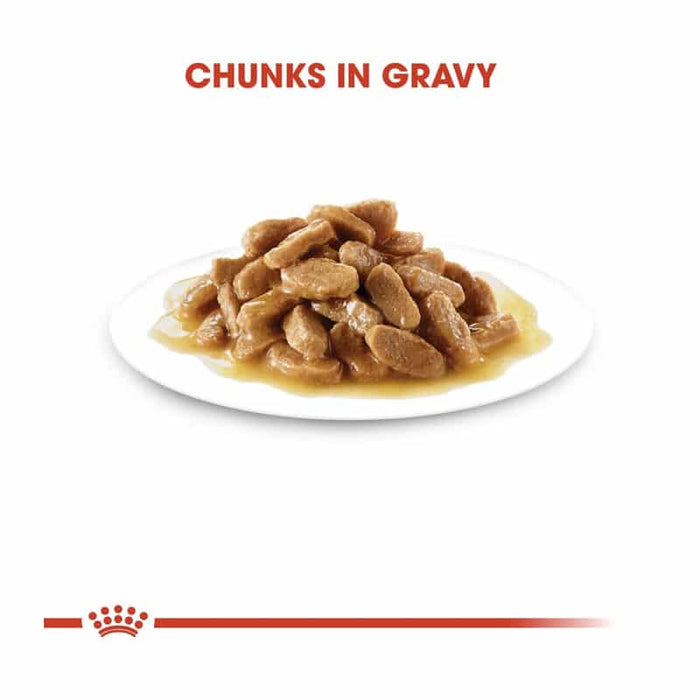 ROYAL CANIN Maxi Puppy Wet Dog Food (10 x 140g)