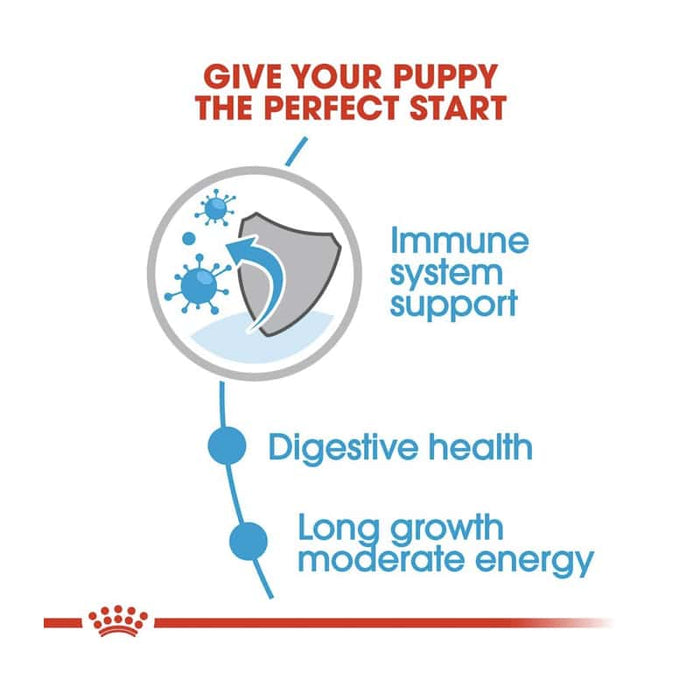 ROYAL CANIN Maxi Puppy Wet Dog Food (10 x 140g)